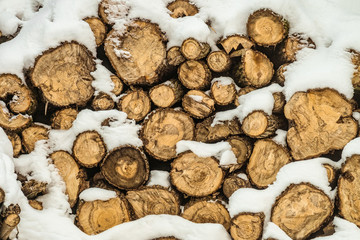 Snow-covered stack of firewood in winter