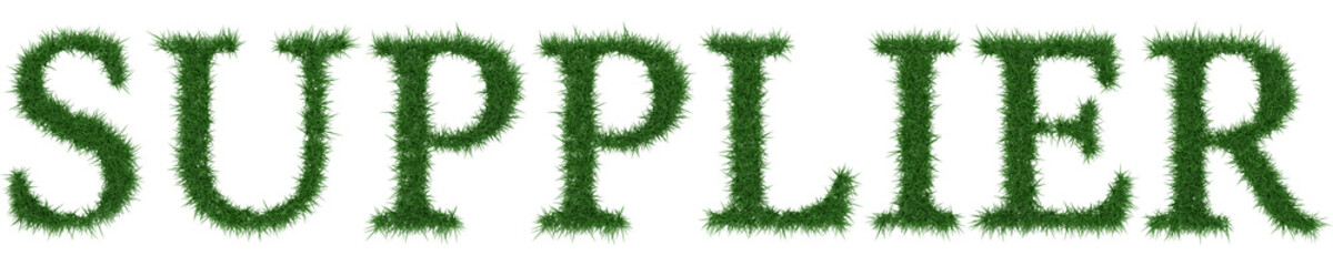 Supplier - 3D rendering fresh Grass letters isolated on whhite background.