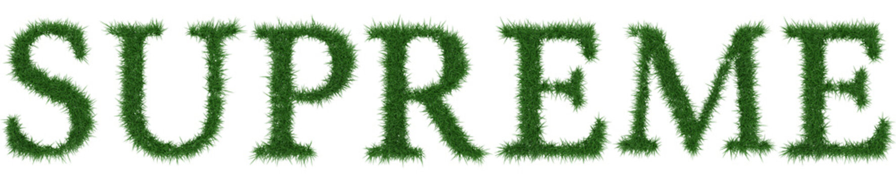 Supreme - 3D rendering fresh Grass letters isolated on whhite background.