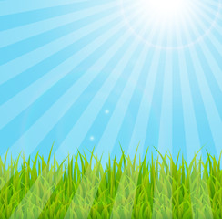 Obraz premium Vintage Sunburst Grassline Background