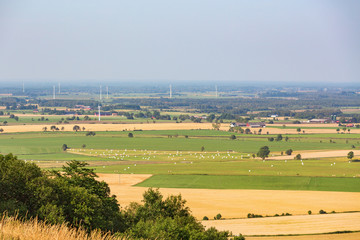 Fototapeta premium Views of the rural landscapes and with farms and wind turbines