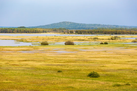 View of lake and bog in Store Mosse National Park in Sweden