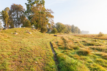 Fototapeta premium Path on a meadow with hills
