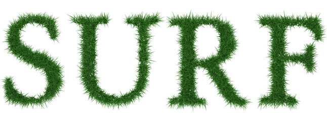 Surf - 3D rendering fresh Grass letters isolated on whhite background.