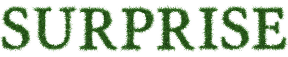 Surprise - 3D rendering fresh Grass letters isolated on whhite background.