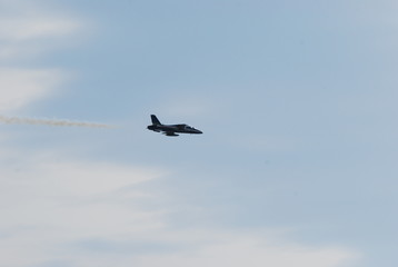 Obraz premium Frecce Tricolori