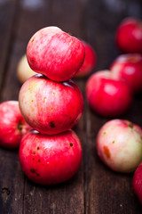 Red ripe apples