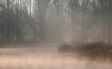 morning mist over a river