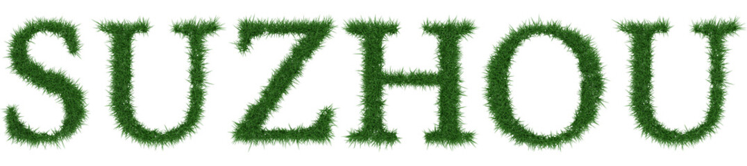 Suzhou - 3D rendering fresh Grass letters isolated on whhite background.
