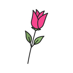Rose flower color icon