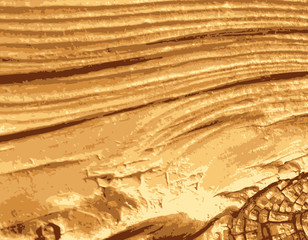 Tree Bark Knot Texture - vector illustration