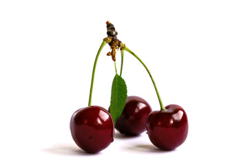 Closeup of cherries on a white background