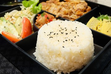 Delicious Japanese Bento Box with Teriyaki Chicken