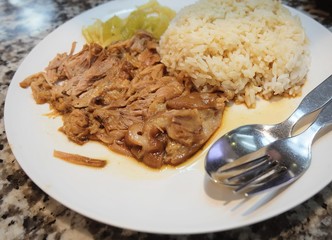Five Spice Stew with Pork Leg on Rice