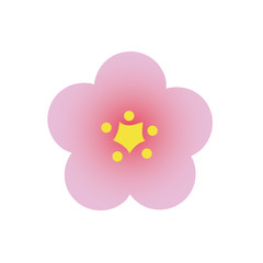 Japanese plum flower illustration
