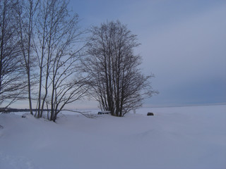 Fototapeta na wymiar Schnee5