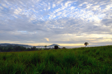 Fototapeta na wymiar Landscape morning sunrise at Thung Salang Luang National Park Phetchabun,Tung slang luang is Grassland savannah in Thailand