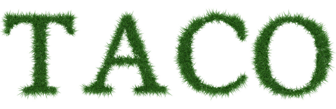 Taco - 3D rendering fresh Grass letters isolated on whhite background.