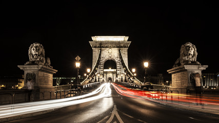 Fototapeta na wymiar bridge in Budapest at night
