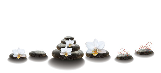 Zen spa orchids on rocks, realistic illustration. Spa or beauty salon, natural treatment .