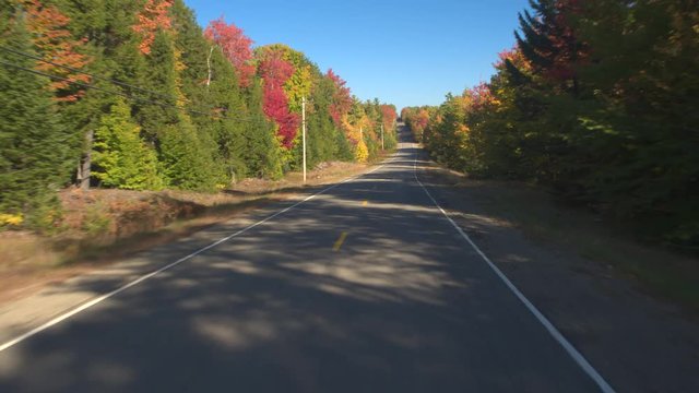 POV: Driving on empty road through stunning colorful forest on sunny autumn day. FPV People on leaf peeping road trip driving through autumn forest in sunny fall. Beautiful fall foliage nature drive
