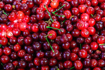 Background of fresh ripe cherries