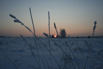 winter sunset