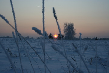 winter sunset