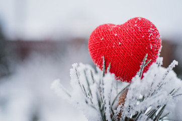 Red cotton heart on the frozen fir tree branches, covered with snow. Valentine`s day background. Copy space