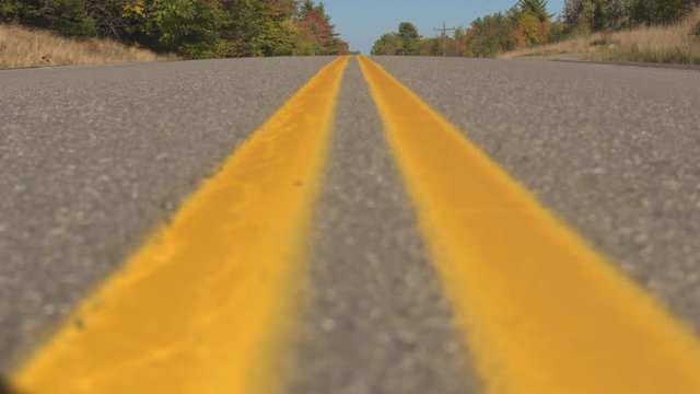 CLOSE UP DOF: Double yellow lines on empty interstate road trough autumn forest on sunny day. Brand new twin yellow lines on empty highway road past colorful trees. Yellow doubles on road surface