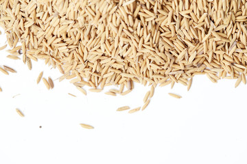 Brown paddy rice closed up Background