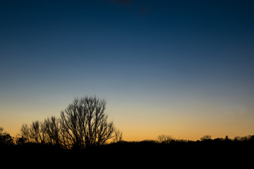 Fototapeta na wymiar sunset silhouette