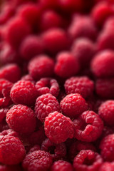 Raspberries closeup colorful large group on dark background selective focus in studio