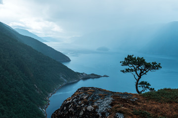 Misty morning on Tingvollfjorden flord