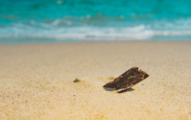 Soft wave of the sea on the sandy beach summer, seashore, lagoon, coast
