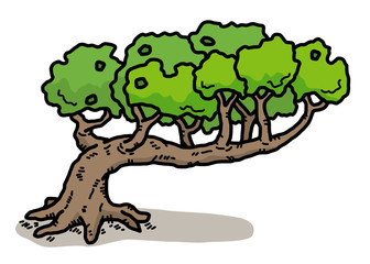 old tree / cartoon vector and illustration, hand drawn style, isolated on white background.