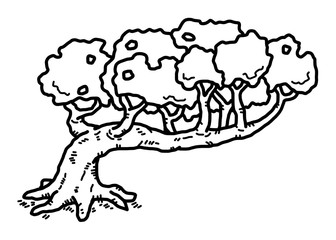 old tree / cartoon vector and illustration, black and white, hand drawn, sketch style, isolated on white background.