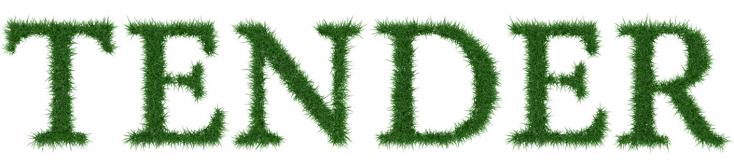 Tender - 3D rendering fresh Grass letters isolated on whhite background.