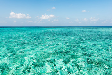 Maldives. The lagoon of a tropical island. Turquoise transparent ocean water. Coral reefs are visible through the water. Blue sky to the horizon.