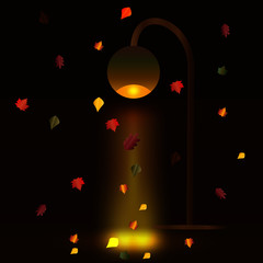 autumn leaves under a street lamp