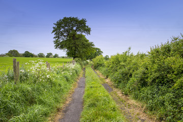 Fototapeta na wymiar Countryside lane in Cheshire UK