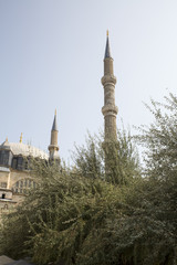 Mosque