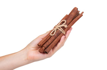 cinnamon stick spice in hand isolated on white background