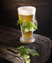 beer and hops on a wooden background