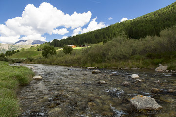Obraz premium Mountain river in green valley
