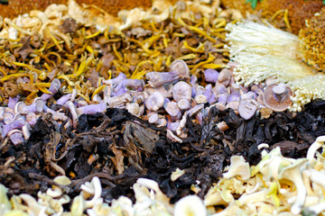 Wild mushroom mix