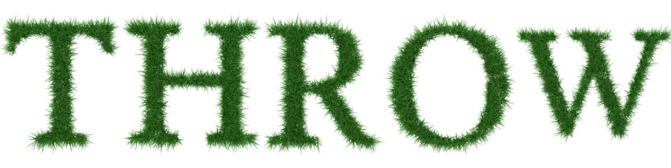 Throw - 3D rendering fresh Grass letters isolated on whhite background.