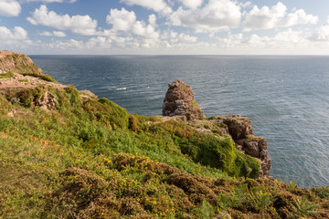 Côte sauvage et falaise