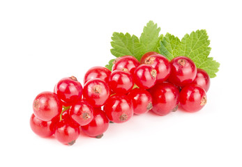 Red currant berries with leaf isolated on white background
