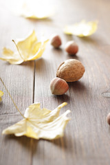 Sunny fall background with dry maple leaves and nuts on wooden table.